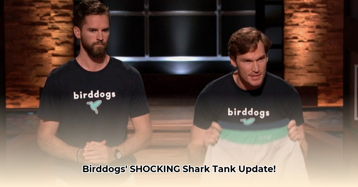 birddogs-net-worth-shark-tank-update